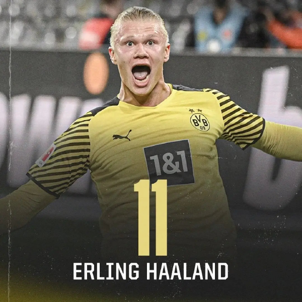 WTT多哈冠军赛 女单签位公布 王曼昱首轮抗日 国乒有希望包揽4强